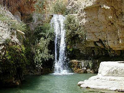 en_gedi_nahal_david_waterfall_tb_n040900.jpg